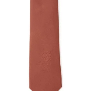 Van Heusen Solid Blue Tie